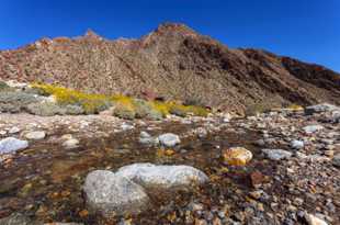 Anza Borrego-2150.jpg